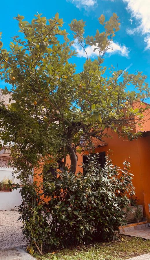 Casa Mare Al Circeo Villa San Felice Circeo Dış mekan fotoğraf