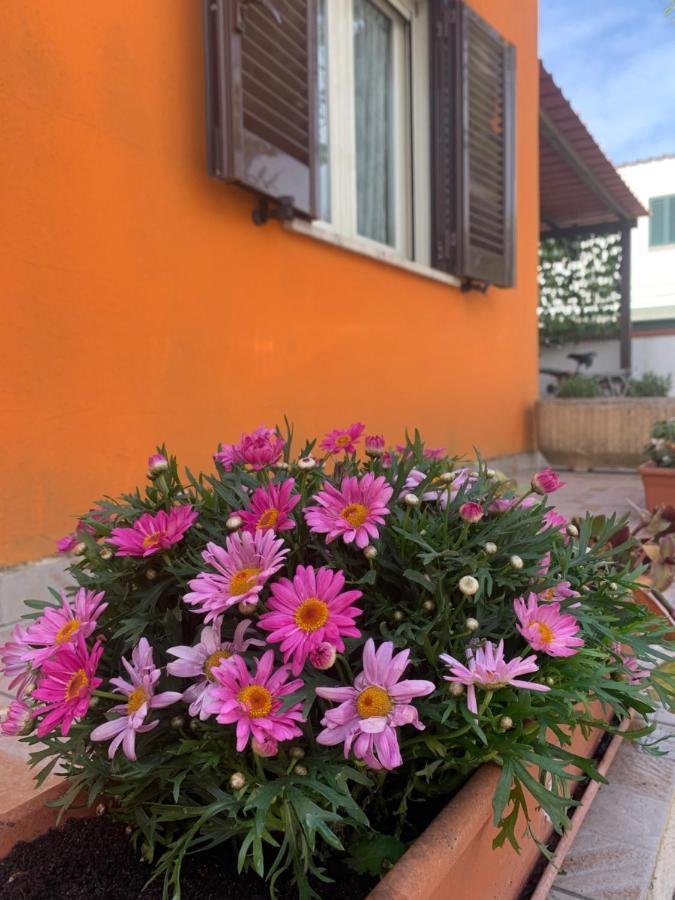 Casa Mare Al Circeo Villa San Felice Circeo Dış mekan fotoğraf